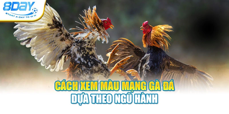 Cách xem màu mạng gà đá dựa theo ngũ hành